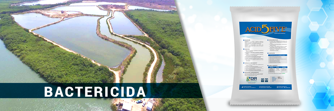 Acidfive-Bactericida-acuicola-DIR-Ecuador